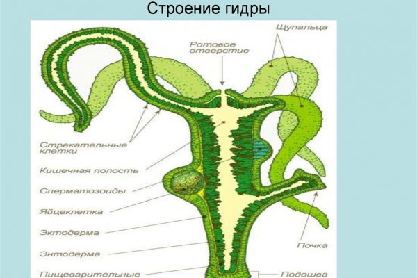 Кракен ссылки онлайн